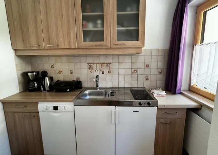 Haus Wildspitz Апартаменты *